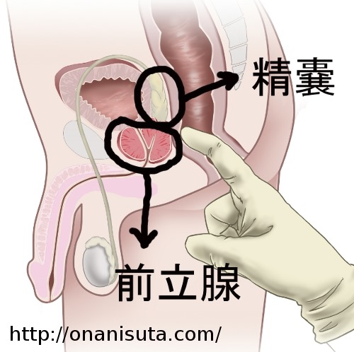 トコロテンしちゃう淫乱なお前の中に出してやっからよく見てろよ！【BL同人誌・銀魂】 | BLアーカイブ