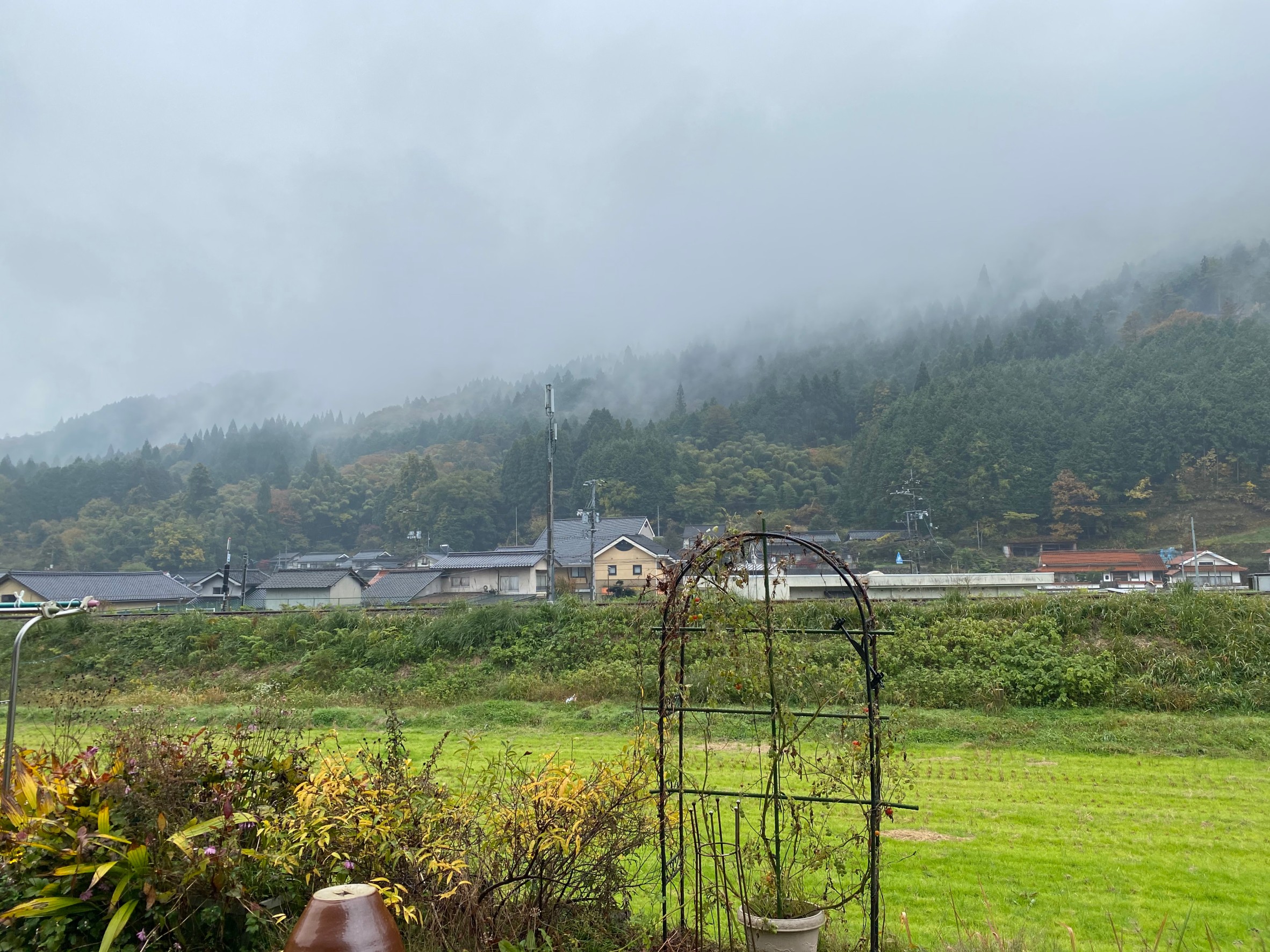 坂上忍、田舎で農業に就く“芸能人”へ一言 「あれだけスター選手だった方が 」 – Sirabee