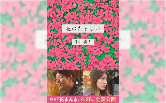 バンダイ 商品・サービスサイト星のカービィ しゅしゅぽぽごっこ～プププ☆トレイン～商品情報