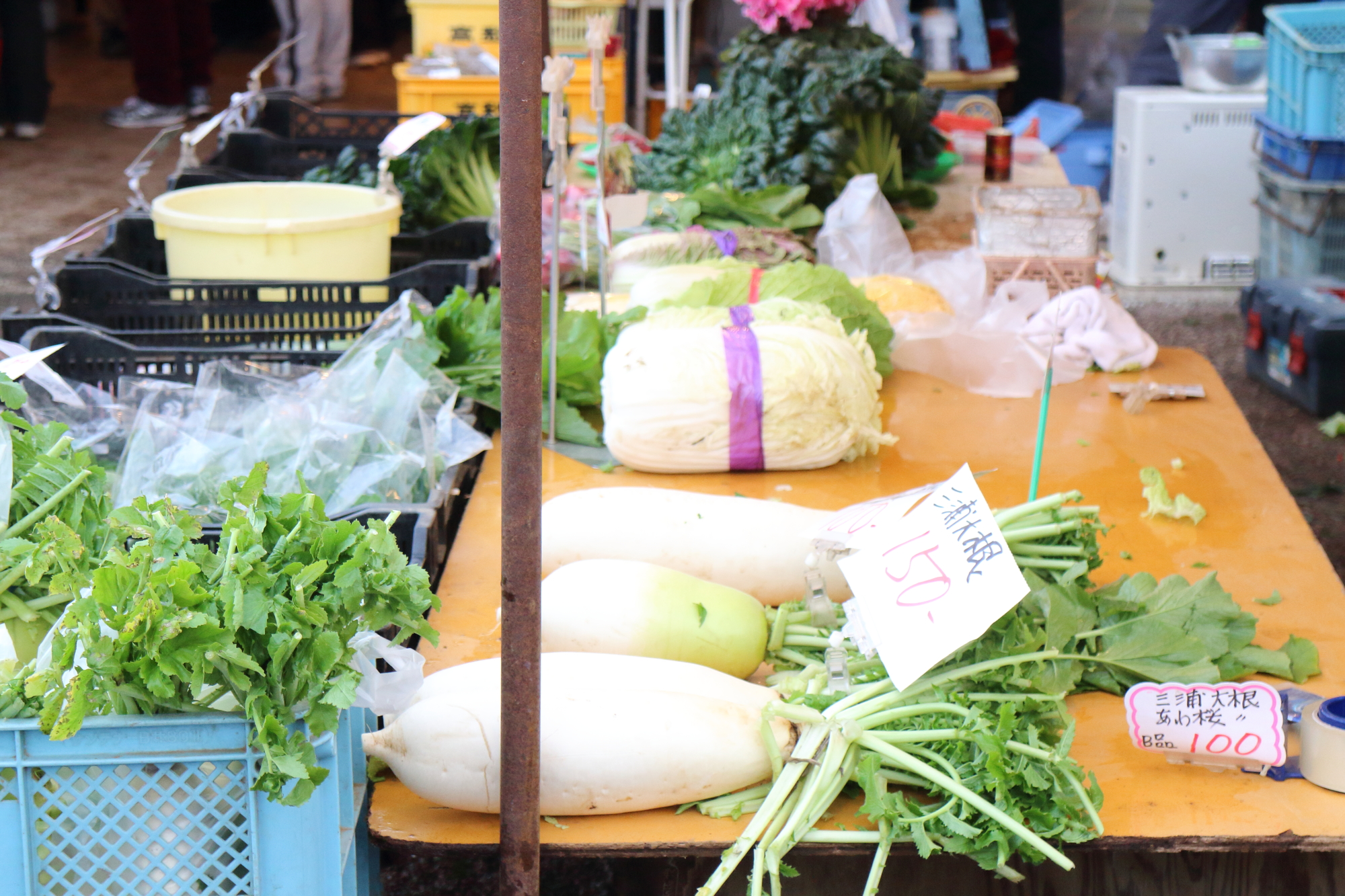 三崎朝市の新着記事アメーバブログ アメブロ