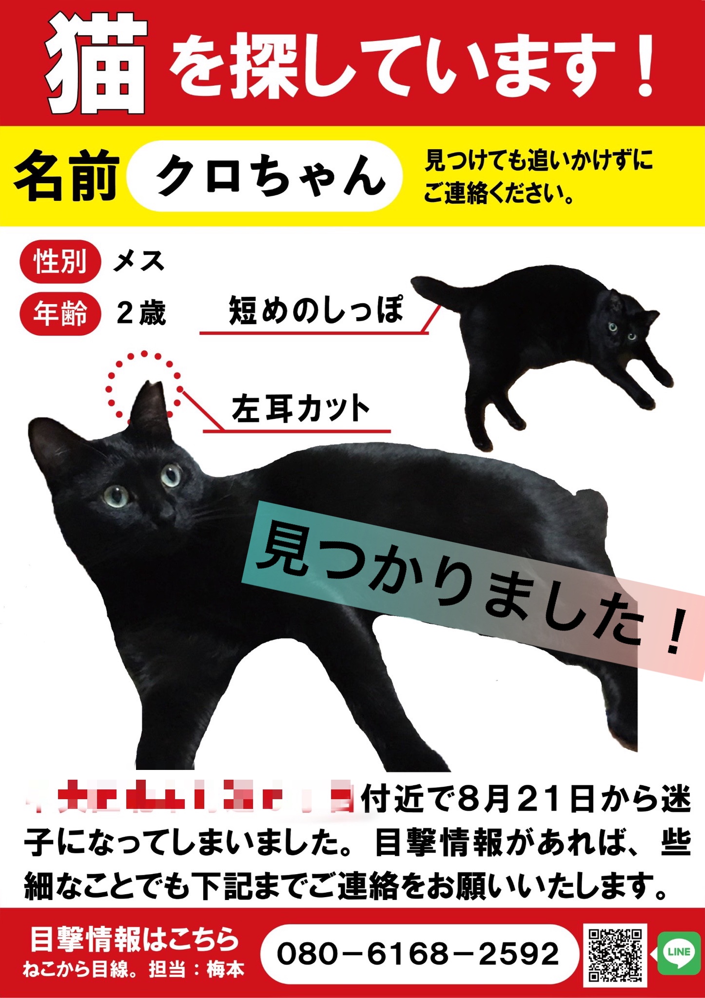 今でもキミを探している 」人懐っこい黒猫との出会いと別れを描いた実話「あの日を一生忘れない」 作者に聞く ＜画像446＞ワンコとニャンコWalker