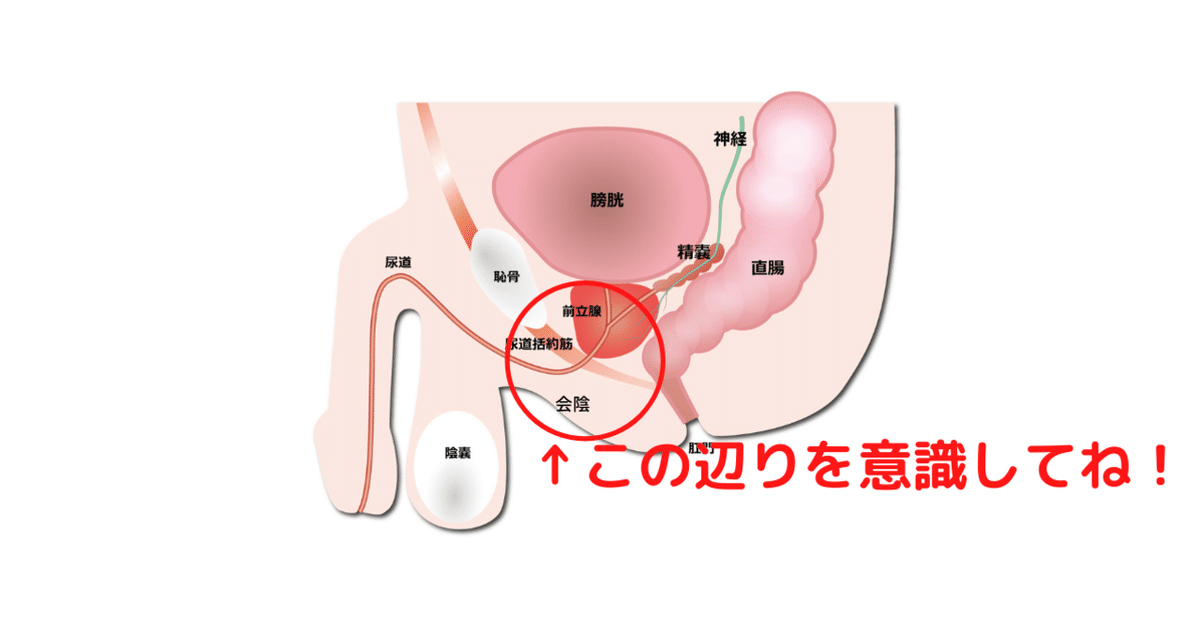 アナルフィスト＆フットファック～男が脳イキするドライオーガズム・エクスタシー～ MOPE-021