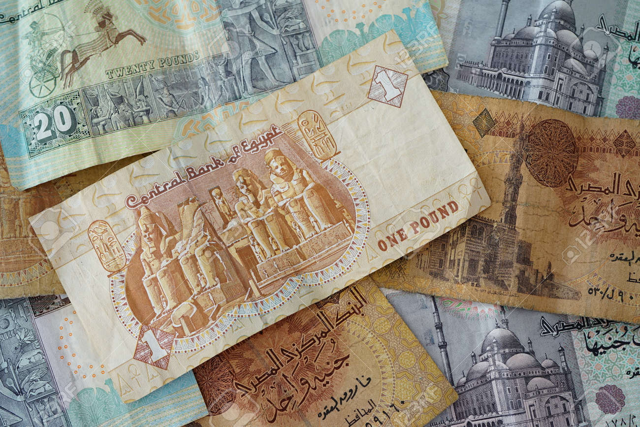 紙幣・貨幣エジプト