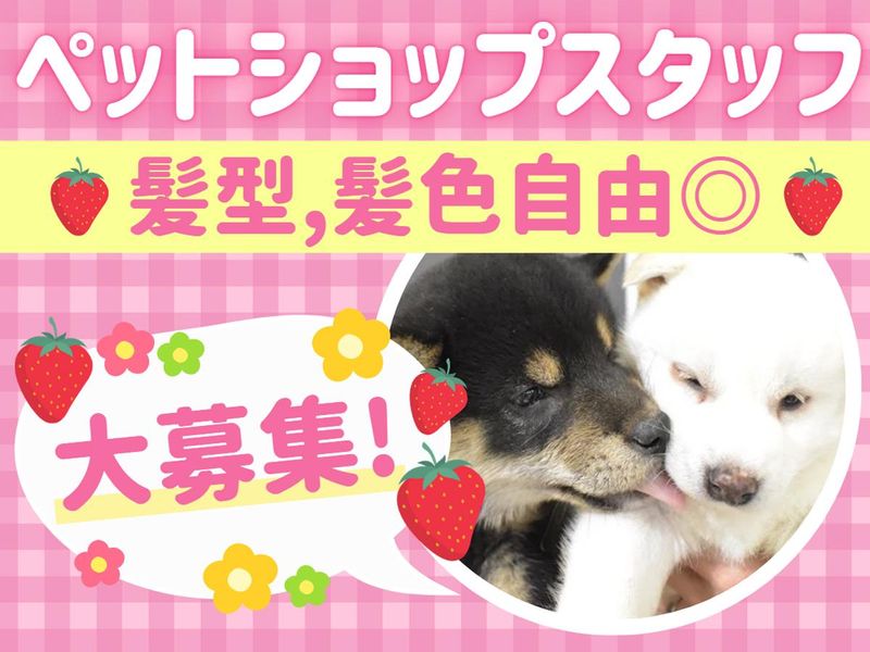 ワンラブ福岡総本店 | トリミングに来てくれた わんちゃんのご紹介です🐶🐾