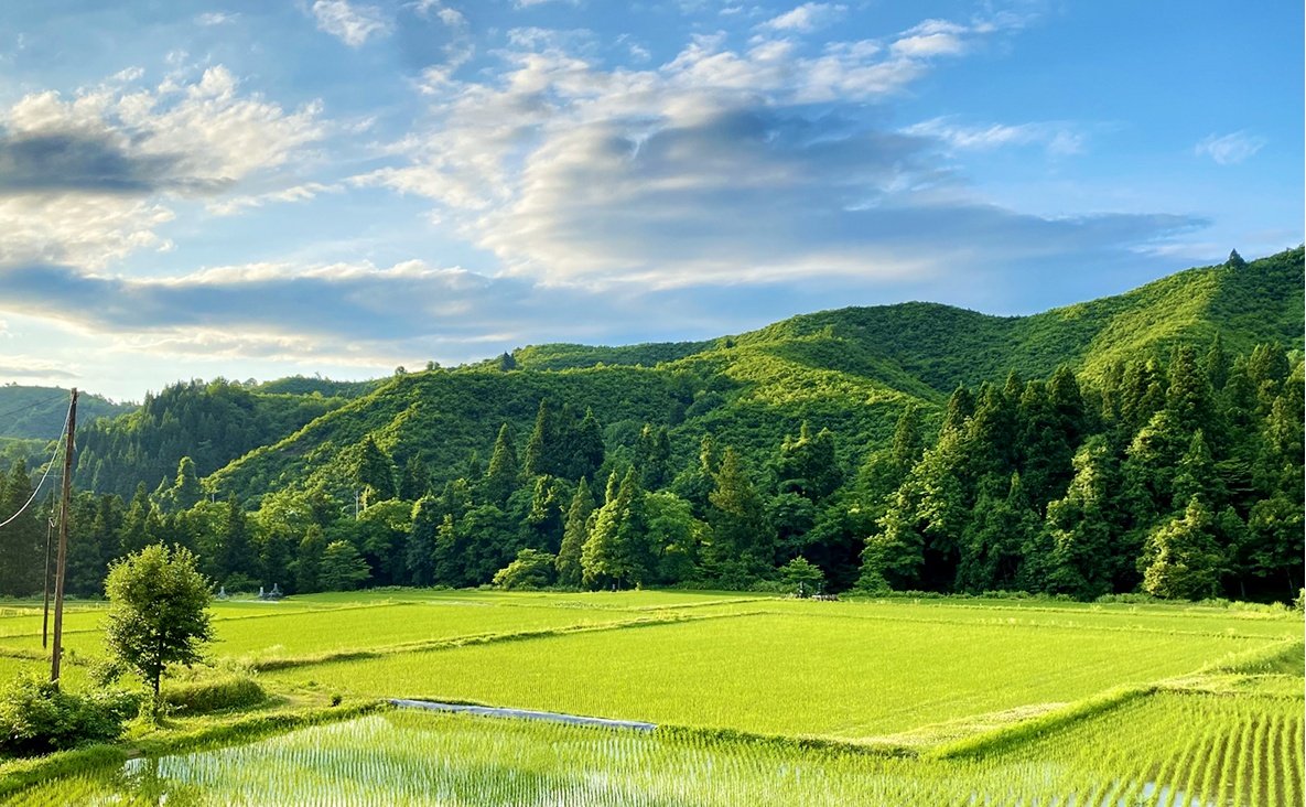 ブラインドテイスティングにトライ ワインのおいしさを決める「テロワール」とは？フリーライター PR Kaori Kobayashi