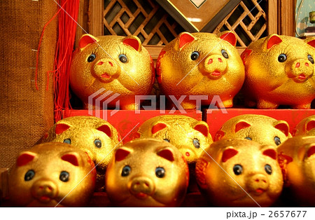 能作 縁起のいい貯金豚 ぎんとん 貯金箱ブタ ぶた 小物 雑貨 50円玉 縁起 銀 シルバー 高岡 伝統工芸 錫 すず 職人 手仕事 おめでたい人気 かわいい おしゃ : ArCraft 丁寧に作られた日用品 - 通販 - Yahoo!ショッピング