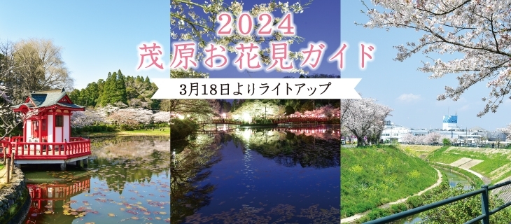 千葉県茂原市にいはる工業団地 (122100780) | 国勢調査町丁・字等別境界データセット