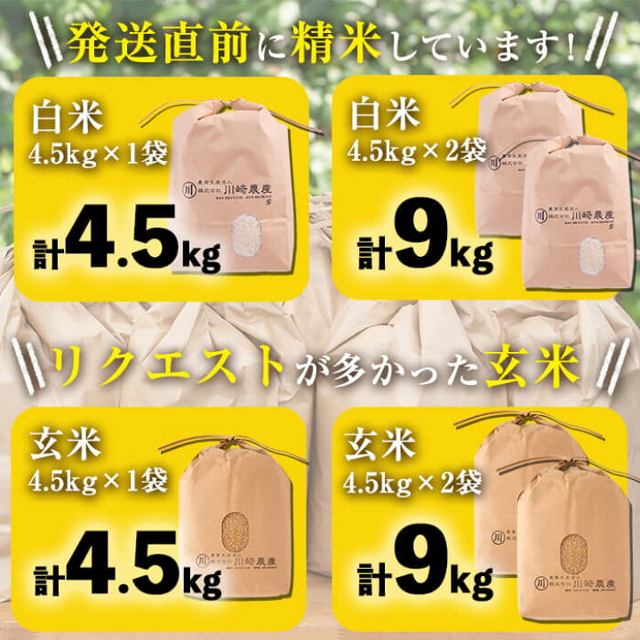 福岡産ブランドキウイ・甘うぃ12-15玉箱(約1.5kg)(川崎町) | 福岡県川崎町 |