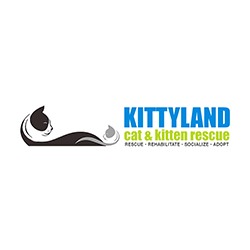 Kittyland Cat And