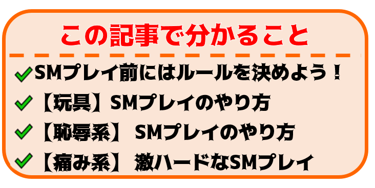 風俗嬢が解説】SMプレイのやり方を伝授！初心者でも安心なノウハウをレクチャー！ | Trip-Partner[トリップパートナー]